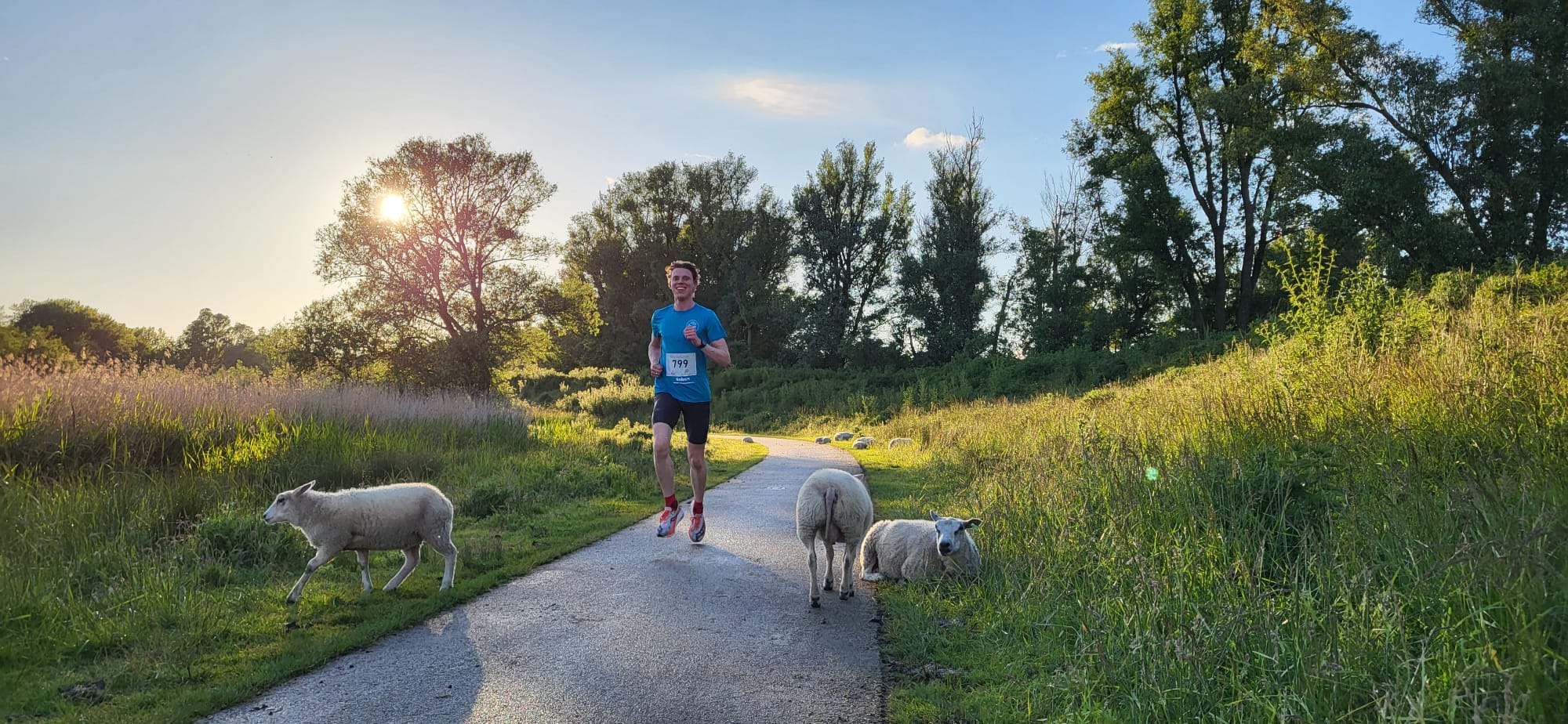 Een hardloper loopt in de avondzon door het Diemerpark.